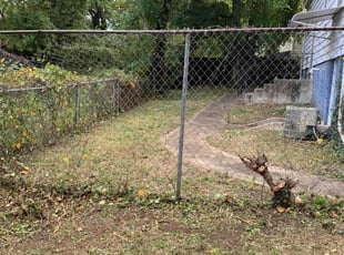 Cleanups by Ventura Duarte Guerra for Tanya L. in Hyattsville, MD