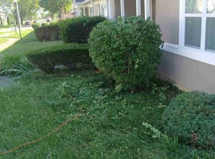 Bush Trimming by Bret Ginter for Leopoldo A. in Dayton, OH