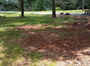 Leaf Removal by Debbie Carper for Mark C. in Chesapeake, VA
