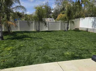 Sean M.'s Lawn Care service result