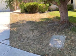 Cleanups by David Morgan for Shifu Y. in Bakersfield, CA
