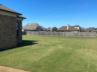 Jasmine T.'s Yard Cutting service result