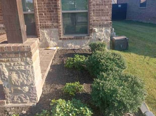 Weeding by Jose Diosdado Jr for Michael P. in Fort Worth, TX