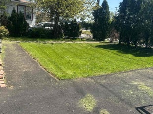 Anthony J.'s Lawn Mowing Service service result