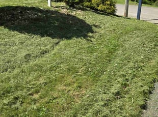 Leaf Removal by Ashley Hughes for Richard S. in Aliquippa, PA