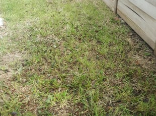 Cleanups by David Mascorro for Charlene G. in Austin, TX