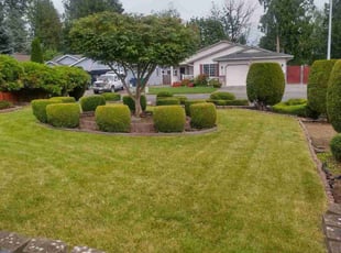 Tracey T.'s Grass Cutting service result