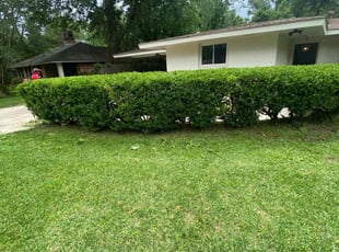 Bush Trimming by Mekeila Morris for Travis D. in Baton Rouge, LA