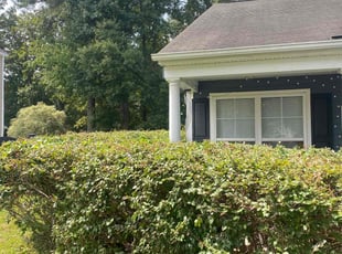 Bush Trimming by Sharone Kinlock Sr for AJ W. in Summerville, SC