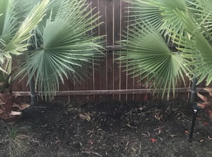 Cleanups by Justin Neeley for Jerome L. in Fort Worth, TX