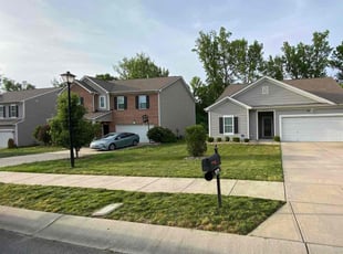 Phenola M.'s Grass Cutting service result