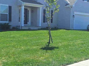 Clarence E.'s Grass Cutting service result