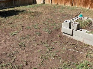 Cleanups by Aaron F for Dave D. in Thornton, CO