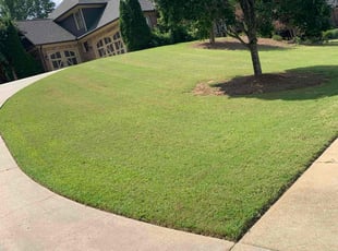 James M.'s Lawn Service service result