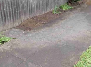 Cleanups by Robert Marsico for Karen M. in Portland, OR