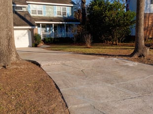 Leaf Removal by Milton Allen for Mike H. in Charleston, SC