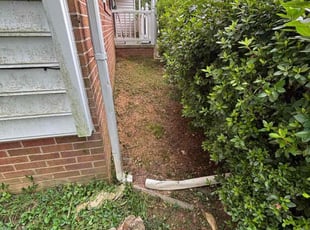 Weeding by Edwin Villagran for Dr W. in Gaithersburg, MD