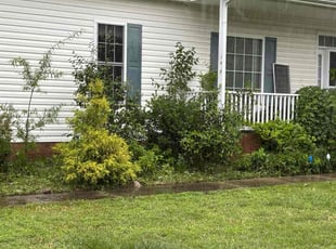 Weeding by Casey Morgan for Hannah L. in Youngsville, NC