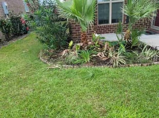 Bush Trimming by Shawn Mcdonald for Eddy W. in Navarre, FL