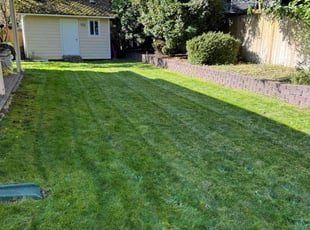 Ronald W.'s Lawn Mowing service result