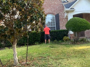 Bush Trimming by Shameem Mohmand for Jena S. in Lewisville, TX
