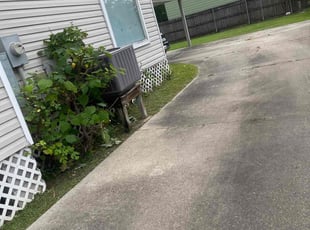 Bush Trimming by Carl George for Shauna L. in Baton Rouge, LA