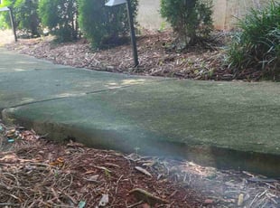 Leaf Removal by Dan Granado for Mario H. in Dacula, GA