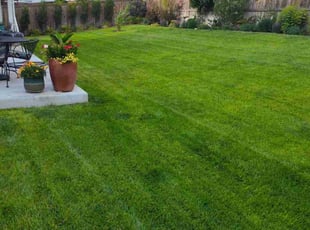 Jason J.'s Yard Cutting service result