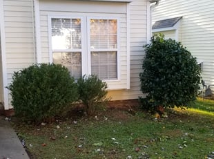 Bush Trimming by James Steele for Joshua F. in Monroe, NC