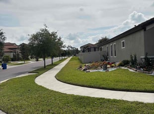 Jonas B.'s Lawn Mowing service result