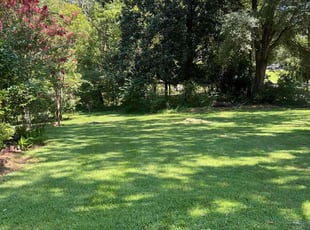 Maxcine T.'s Lawn Mowing Service service result