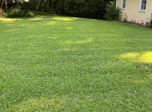 Michelle L.'s Lawn Mowing Service service result