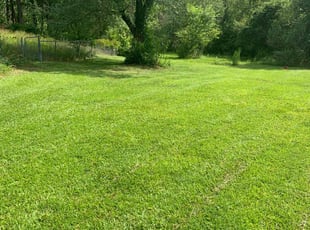 Luis L.'s Lawn Care service result