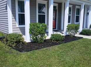 Bush Trimming by Andrew Favazzo for Mariam I. in Summerville, SC