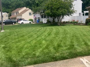 Ashley S.'s Grass Cutting service result