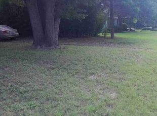 Leaf Removal by Bradley Rearden for Shawn M. in Midlothian, TX
