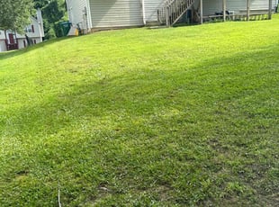 Derek H.'s Lawn Care service result