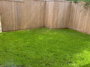 Aslin H.'s Yard Cutting service result
