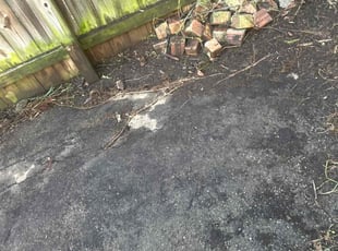 Cleanups by Leroy Green II for Margaret S. in Columbus, OH