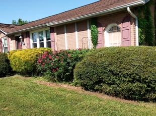 Bush Trimming by China Dowell for Joyce W. in Murfreesboro, TN