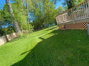 Sara L.'s Lawn Mowing Service service result