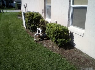 Bush Trimming by Donald Austile for Carlos E. in Winter Haven, FL