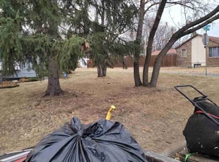 Leaf Removal by Matt Anderson for Melvina S. in Fridley, MN