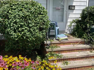 Bush Trimming by Scott Basinger for Kathy T. in Parma, OH