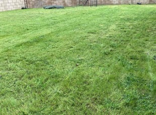 Addeleen L.'s Lawn Care service result