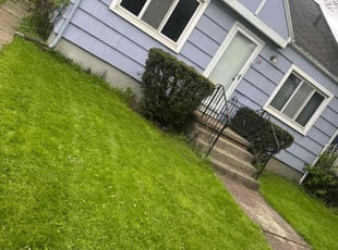 Weeding by Howard Hampton for Roger W. in Buffalo, NY