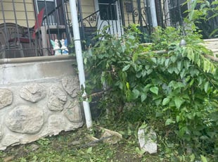 Bush Trimming by Darren Burch for Sharita M. in Upper Darby, PA