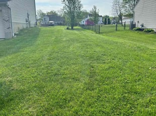 Tim C.'s Lawn Mowing service result