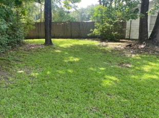 Emily H.'s Lawn Maintenance service result