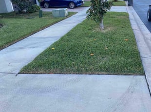Takeya O.'s Lawn Service service result
